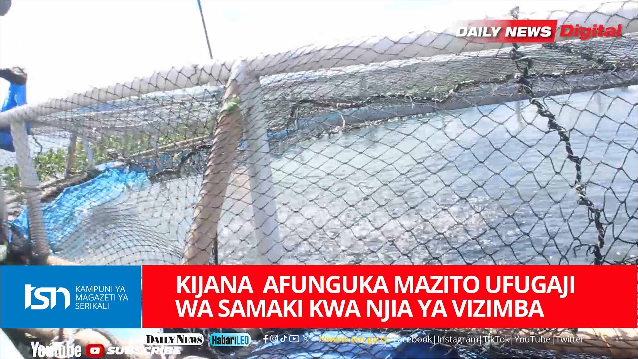 KIJANA  AFUNGUKA MAZITO UFUGAJI WA SAMAKI KWA NJIA YA VIZIMBA