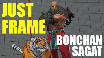Just Frame Analysis! - Bonchan (Sagat) vs takururin (Laura)
