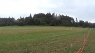 WWHA LGRA  at Roy, WA May 24, 2014 Program 1 -- Rhodesian Ridgeback by James Johannes 17 views 9 years ago 17 seconds