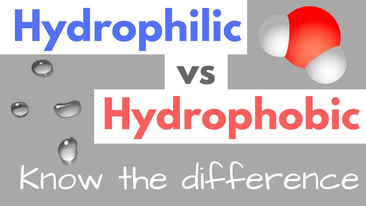 Hydrophilic Vs Hydrophobic | Substances | Cell Membranes