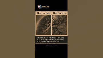 Lungs vs Trees: The Most Amazing Similarity!🤔 #facts #nature #life