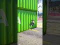 O My God What Happend On Spider Man | Marvel Animation