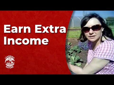 Como atrair insetos benéficos e Clientes // Aprendendo com a Natureza