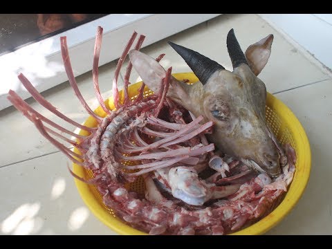 Video Cách Chế Biến Một Bộ Xương_Đầu DÊ thành những Món Ăn... - youtube