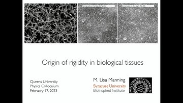 Physics Colloquium: Origin of Rigidity in Biological Tissues