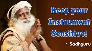 Keep your Instrument Sensitive! (Youth and Truth, SRCC, Delhi) - Sadhguru