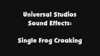 Universal Studios Sfx Single Frog Croaking