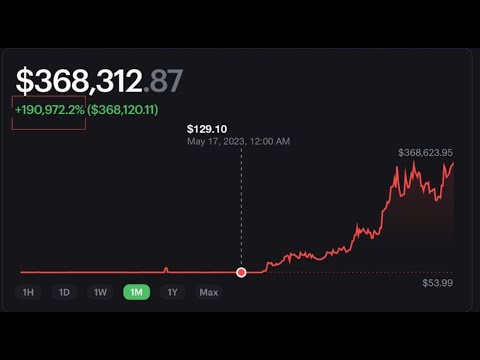 This Whale Went from $129 to $371,000 (EXPOSED)