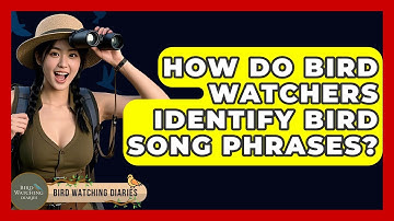 How Do Bird Watchers Identify Bird Song Phrases? - Bird Watching Diaries