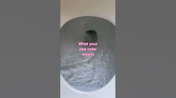 Thumbnail of What your pee color means #shorts
