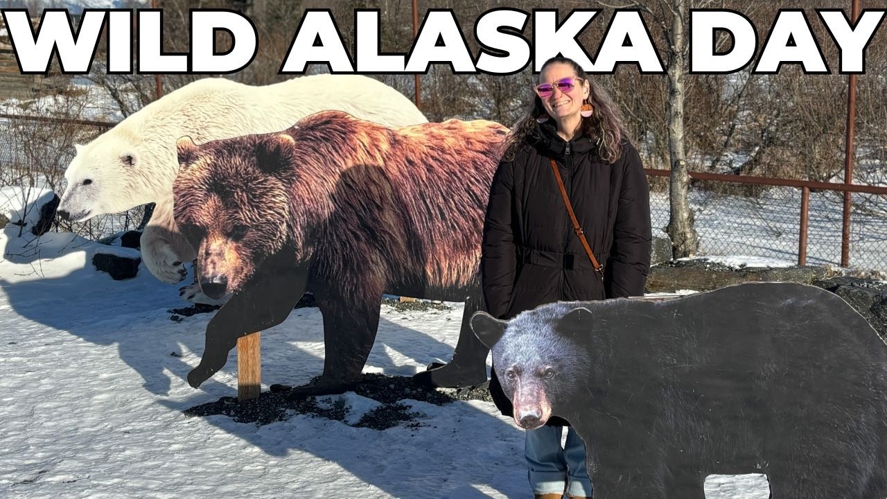 Sunny Alaska Sunday! Amazing Views and Alaska Wildlife