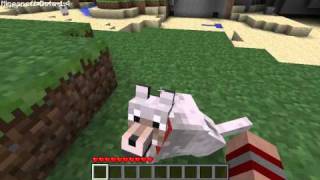 MINECRAFT 1.4 UPDATE HAS WOLFS!! (seriously no joke)