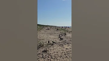 Море 02 07 2025 Vecāki 3 