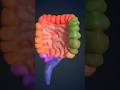 Weird facts about the human body series 🧬 Episode 7 #biology #neet #ytshorts #viral #viralvideo #yt
