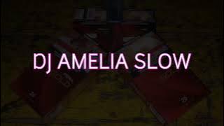 DJ AMELIA SLOW