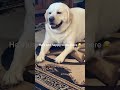 His Love Language Is Quality Time