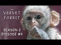 Orphan Baby Monkey With Brain Damage & Babies Play in Disneyland - Vervet Forest - S2 Ep9