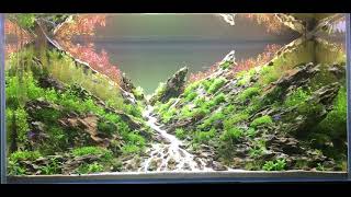 Wifi Edge Light Aquascaping Ep1 Al