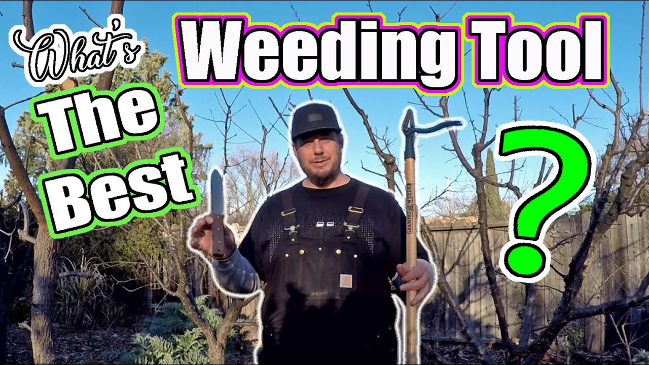 What Is The Best Weed Removing Tool For Gardeners? [ Part 1 ] YouTube