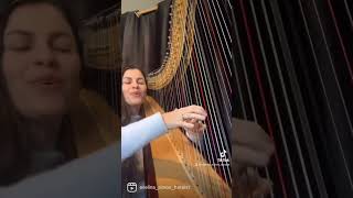 The Joker and the Queen - Ed Sheeran (harp cover)