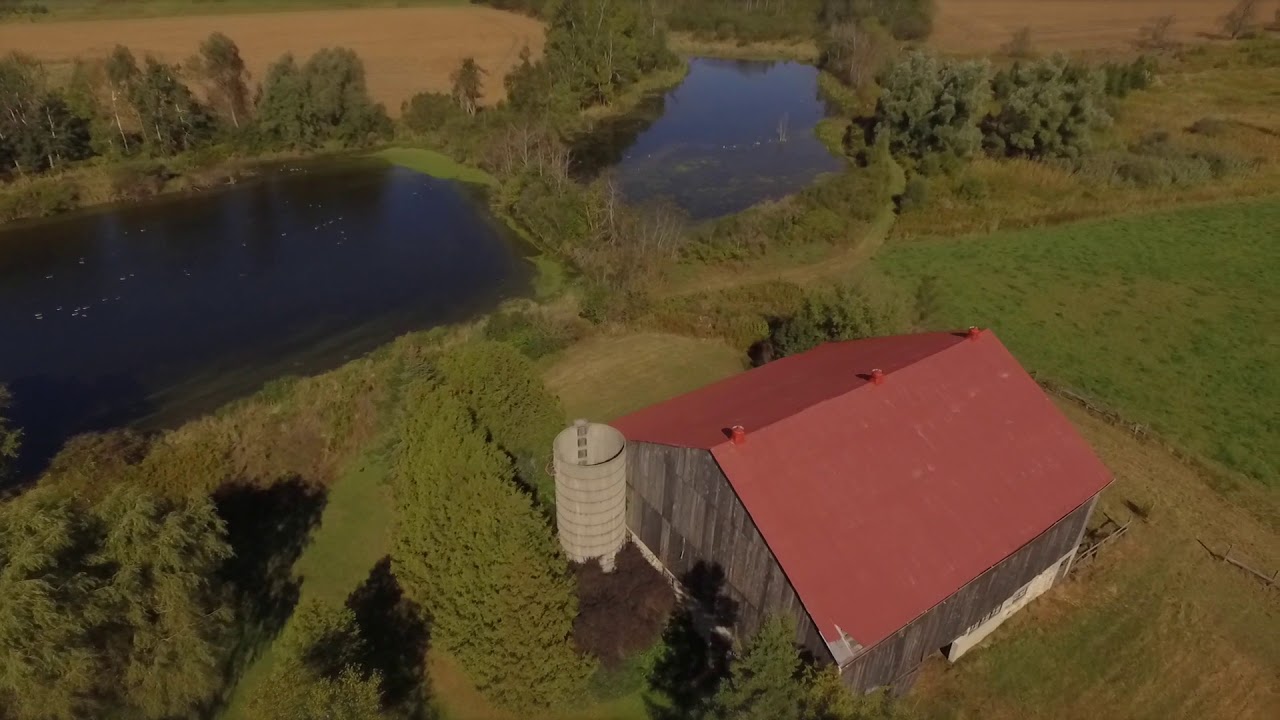 5775 6th Line, Guelph/Eramosa YouTube