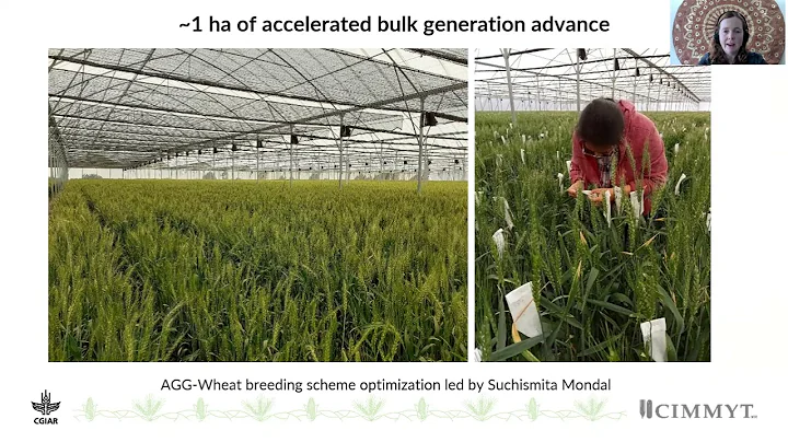 Allison Bentley - New solutions for faster genetic...