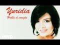 Yuridia - Eclipse Total Del Amor (Cover Audio)
