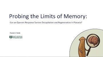 "Probing the Limits of Memory" by Francis C. Forde