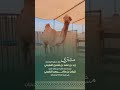 مشترى زيد بن فهد بن شعيل النفيعي 