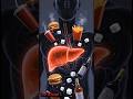 This Habit Is Killing Your Liver ⚠️| Health Pro Lab