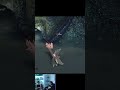 🔥Mi primer enfrentamiento contra el Rey Daw Archicurtido ¿El jefe más duro de Monster Hunter Wilds?🐉