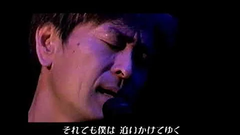 TULIP 夕陽を追いかけて