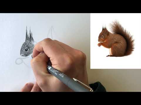 Video: Hoe Teken Je Een Aardeekhoorn Met Een Potlood?