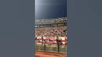 جمهور الزمالك بيهاجم الكل 