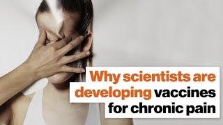 What if you were immune to chronic pain? Vaccines could make it happen. | Lou Reese | Big Think