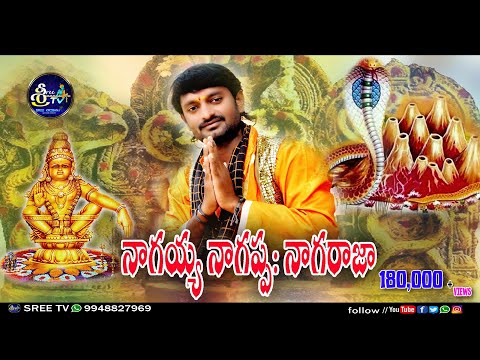 NAGIA NAGAPPA GOD SONG      SREEKRISHNA BOINI  KANNAM SRINIU  SREE TV