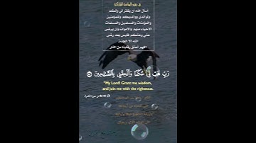 تلاوة خاشعة عطرة مباركة جميلة عذبة للشيخ فارس عباد ماتيسر من سورة الشعراء