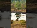 Another lake in the lakes of the 7 years #nature #walking #forest