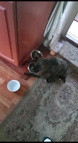 youtube.com