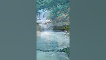 سورة الكوثر القارئ عبد الرحمن مسعد