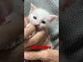 赤ちゃんの頃からパパに抱っこされ続けた結果…