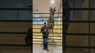 Meet Our Newest Furry Friends