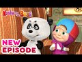 Masha and the Bear 💥🎬 NEW EPISODE! 🎬💥 Best cartoon collection 🎪 Variety Show