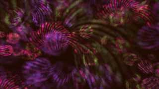 Colorful Dreamy Spirals Scene Free Animation Background AA VFX