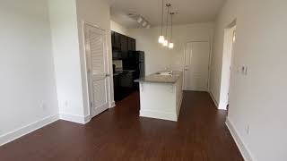 Jackson 1BR X 1 BA 565 sqft The Neely