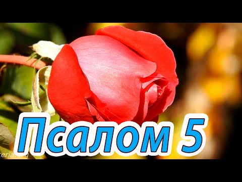 Псалтирь. Псалом 5. Слушать и Смотреть Красивое Видео псалтырь