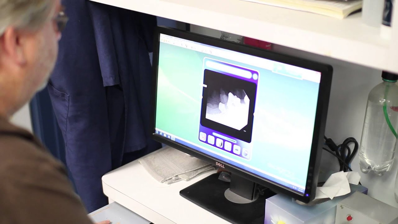 Bienville Animal Medical Center VIDEO TOUR YouTube