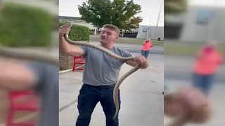 Enid Firefighter Removes Snake From Under Car