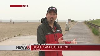 Silver Sands: a no-frills, wildlife dedicated beach in Milford