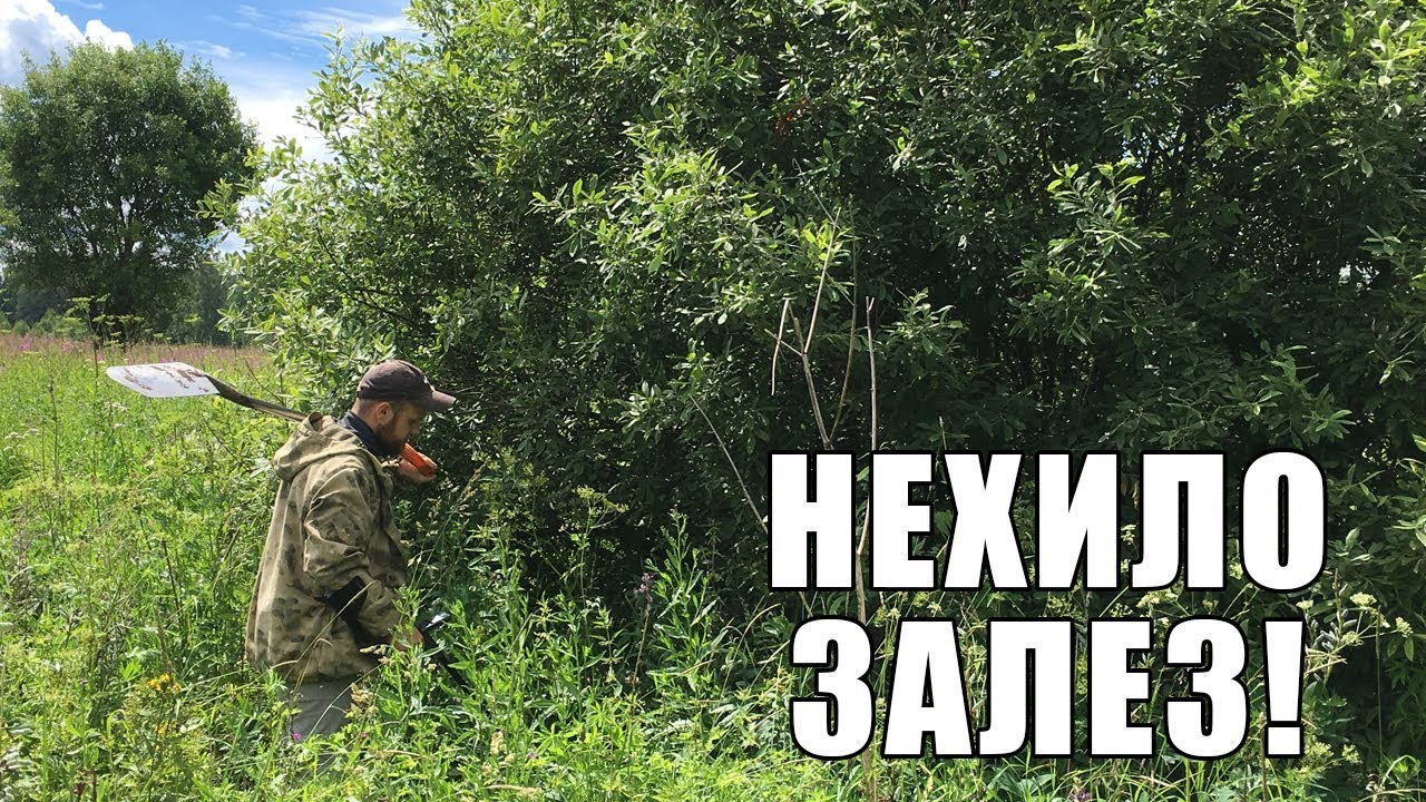 КОГДА ВСЕ ЗАРОСЛО, А КОПАТЬ ОХОТА! КОП С XP DEUS / Russian Digger заброшенный дом сон